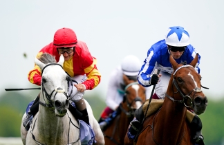 Paddington and company all set for a battle royal on the Knavesmire