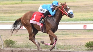 Runaway Algo piloted by Raddesh Roman ease to the line in the Eros Trophy feature at Caymanas Park on Saturday.