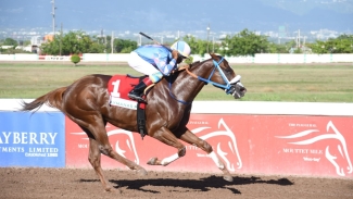 She&#039;s My Destiny and Ramon Nepare easily winning the None Such Sprint at Cayamas Park on Saturday.
